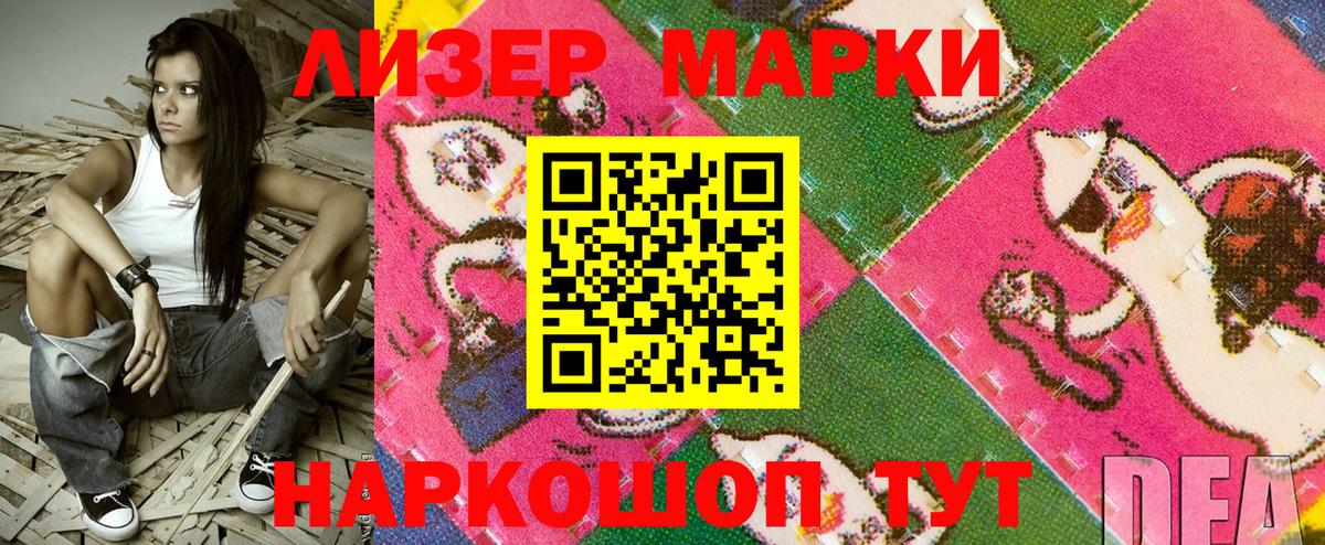 МЕФ Новокузнецк