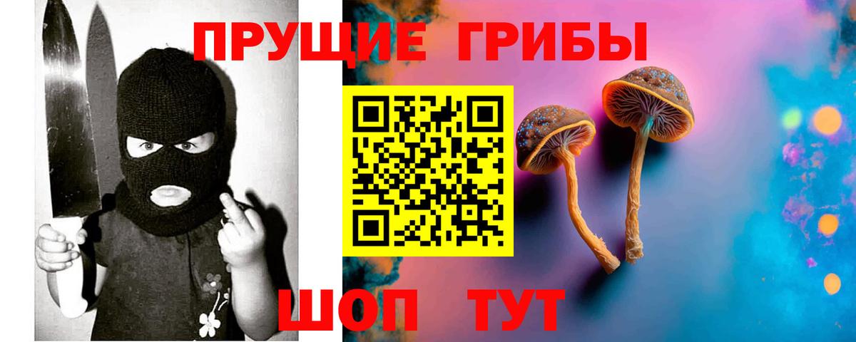 Новокузнецк  Галлюциногенные грибы Cubensis  Вход с VPN  Галлюциногенные грибы MAGIC MUSHROOMS 